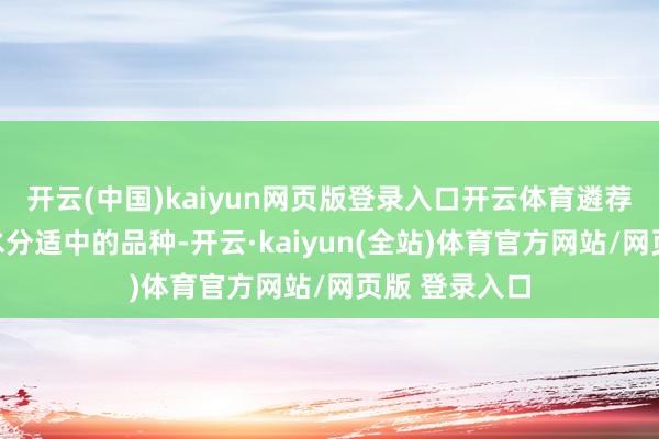 开云(中国)kaiyun网页版登录入口开云体育遴荐口感脆甜、水分适中的品种-开云·kaiyun(全站)体育官方网站/网页版 登录入口