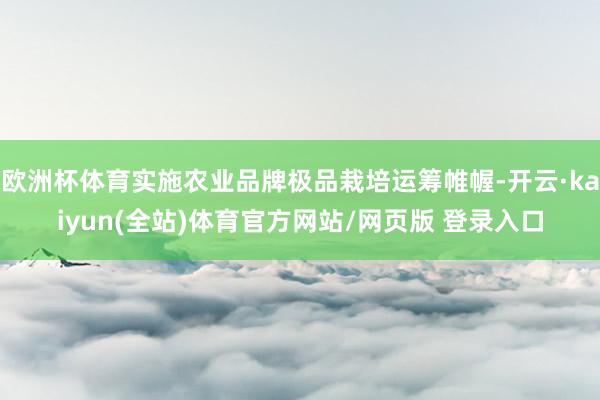 欧洲杯体育实施农业品牌极品栽培运筹帷幄-开云·kaiyun(全站)体育官方网站/网页版 登录入口
